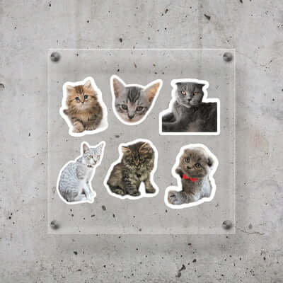 Cat Stickers MIX - 8 pieces per sheet
